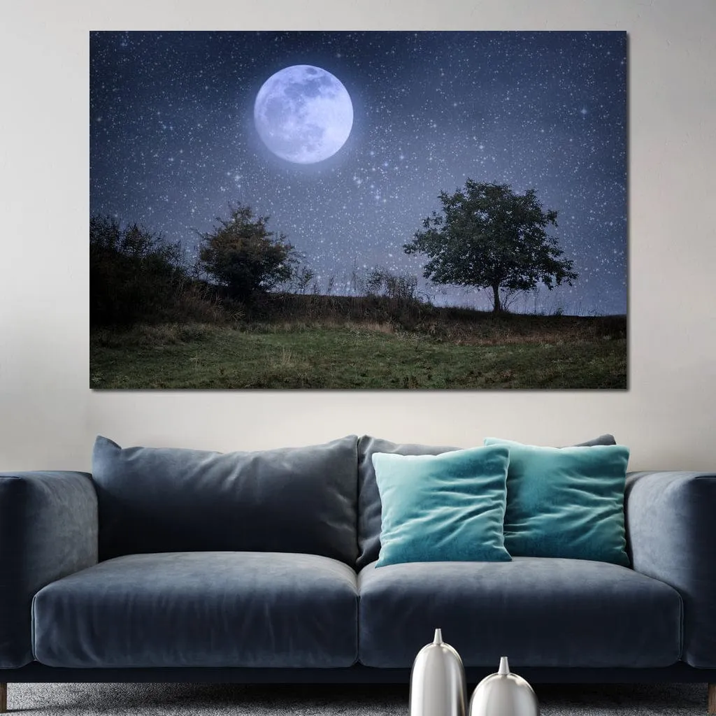 Beautiful Moonlight