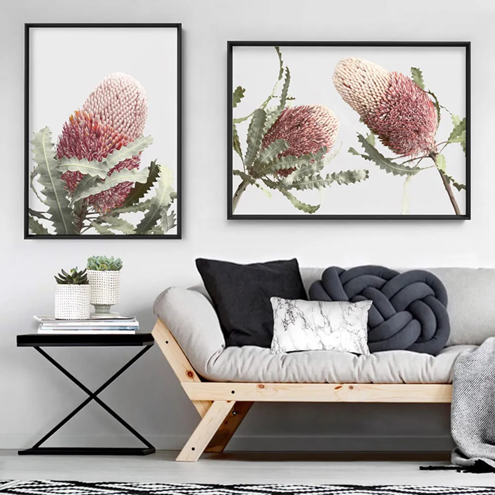 Blushing Banksia Duo Landscape - Art Print