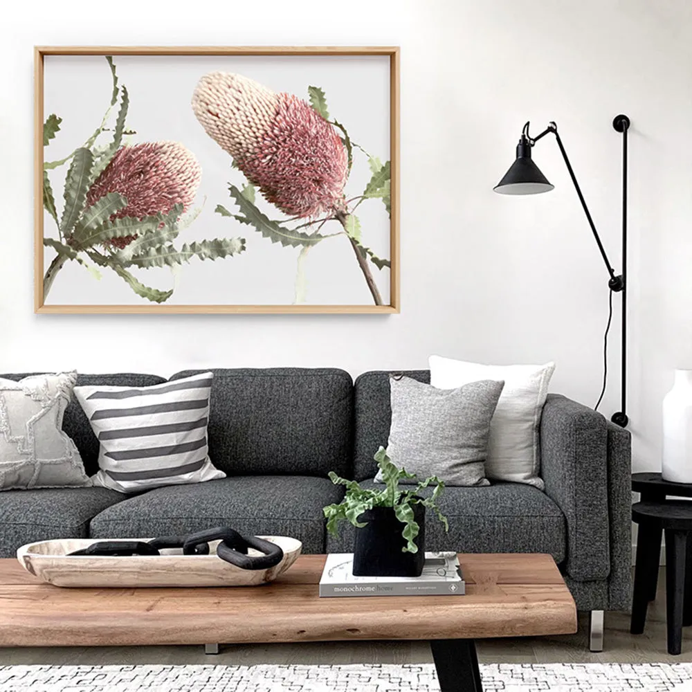 Blushing Banksia Duo Landscape - Art Print