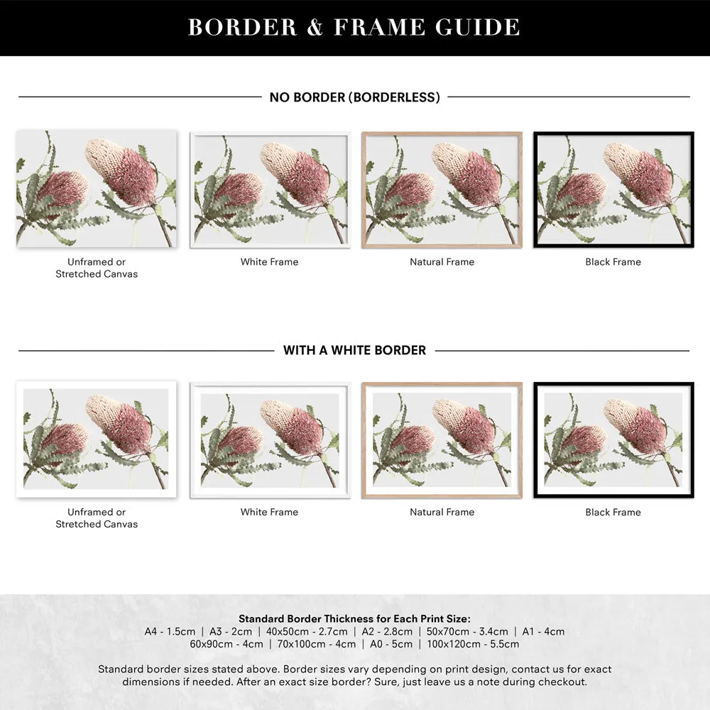 Blushing Banksia Duo Landscape - Art Print