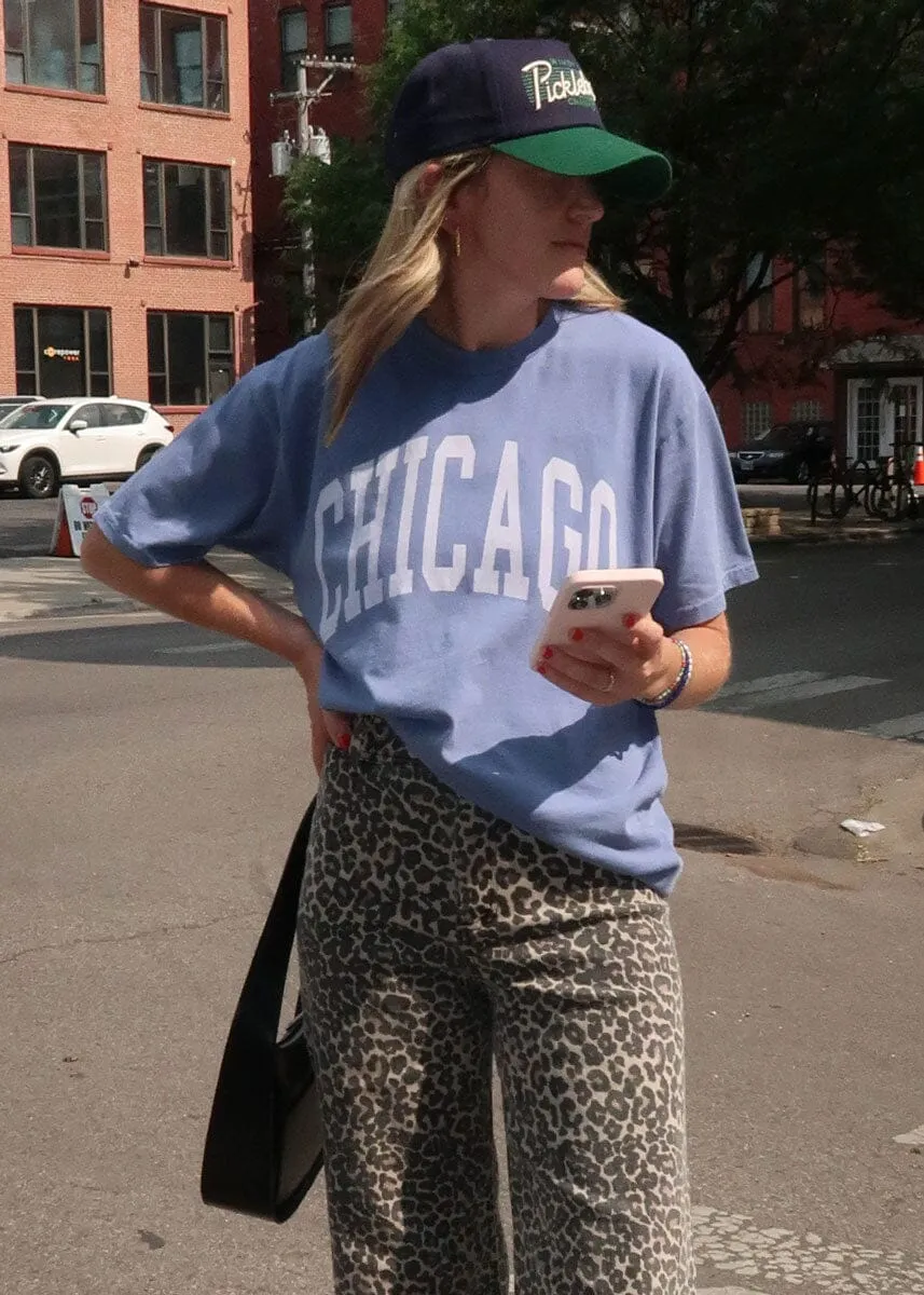 Chicago Collegiate Vintage Tee - Storm